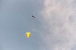 eagle with kite