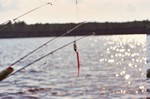 lure on pole